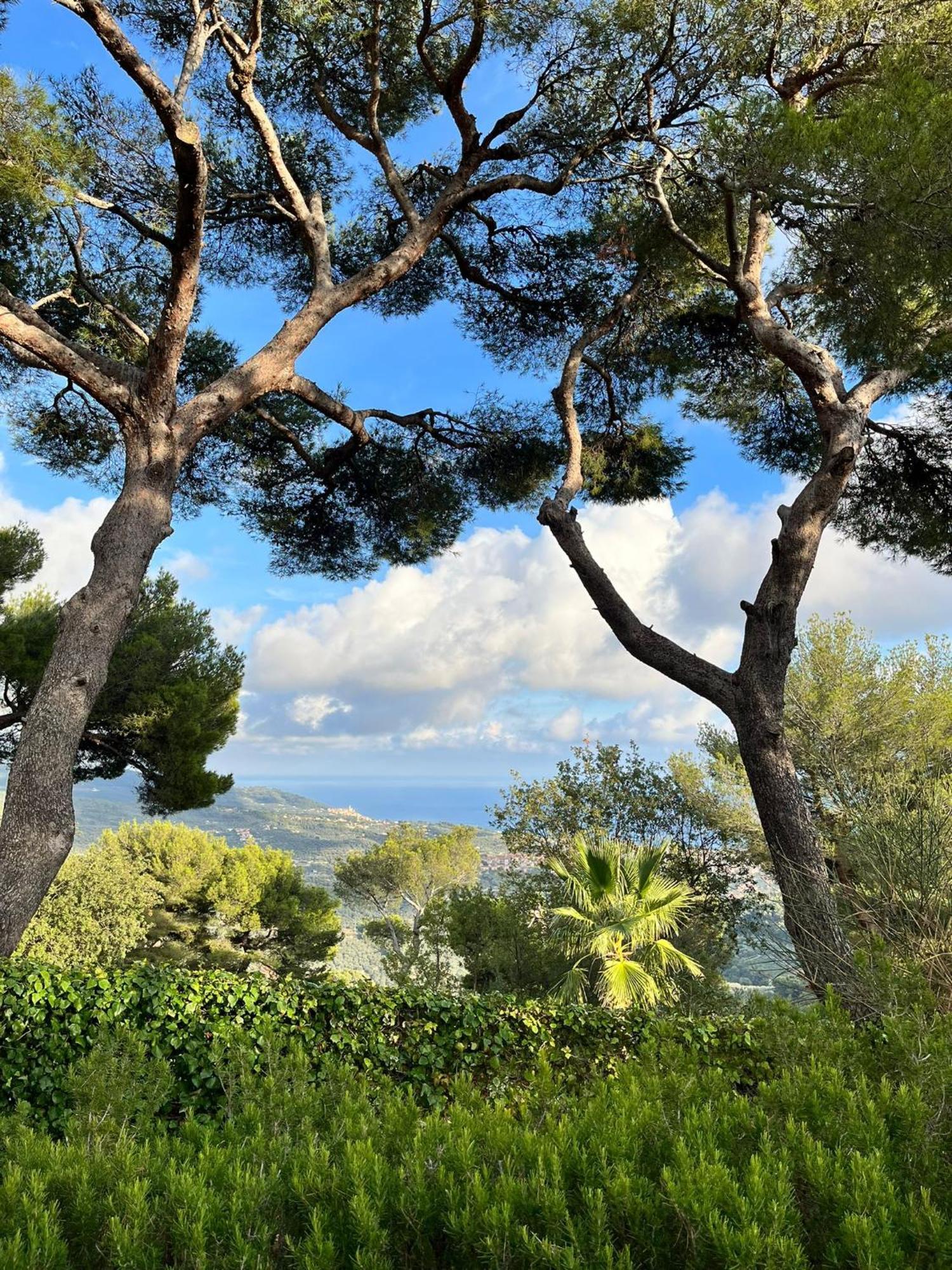 Casa Merea 16 Costa d'Oneglia Экстерьер фото